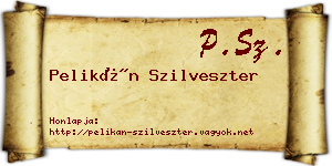 Pelikán Szilveszter névjegykártya