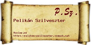 Pelikán Szilveszter névjegykártya